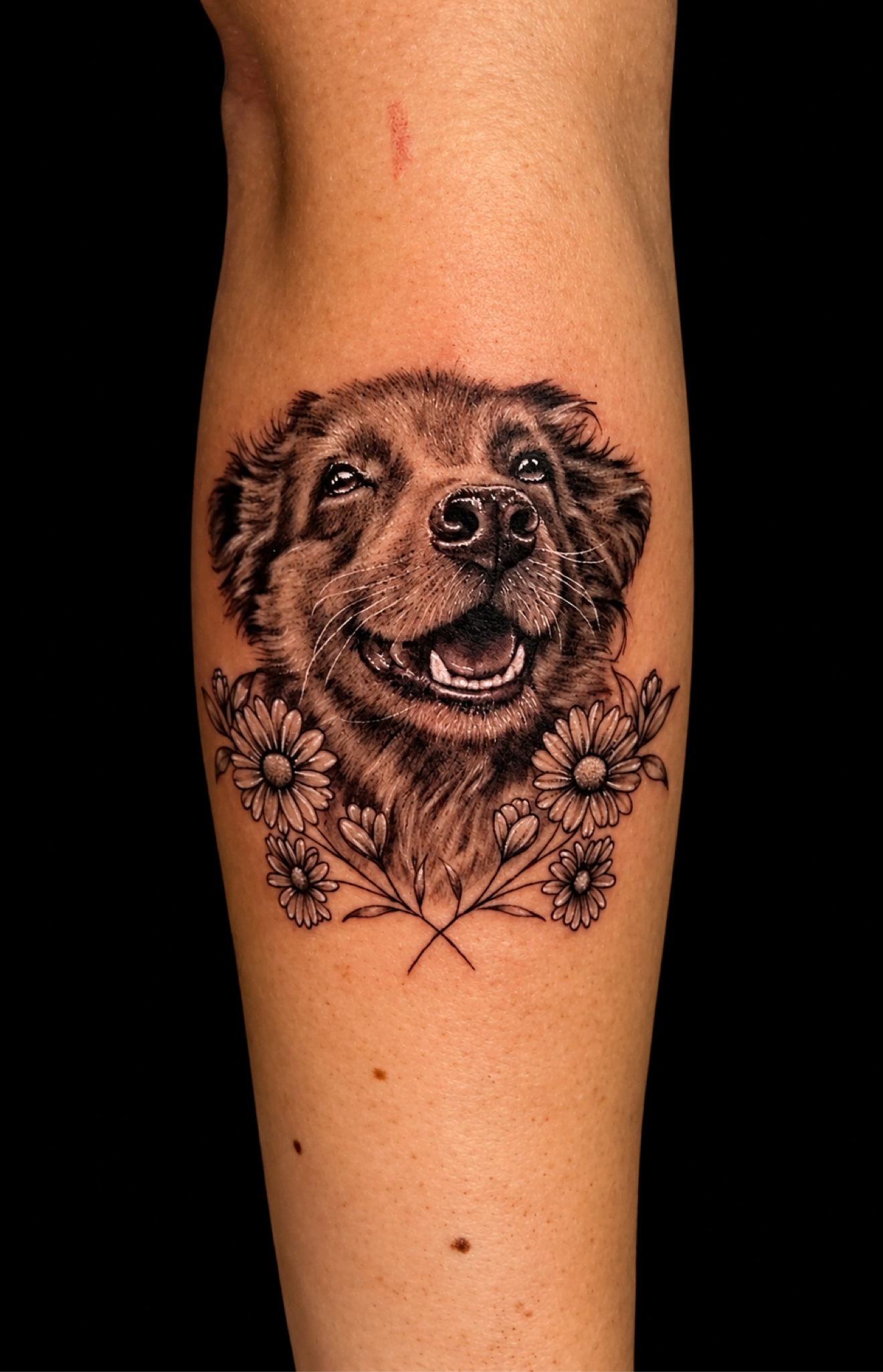 Dog with daisies tattoo by Yudisnel Reina